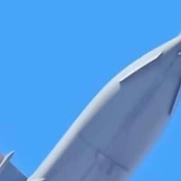 راوي عربي فصيح