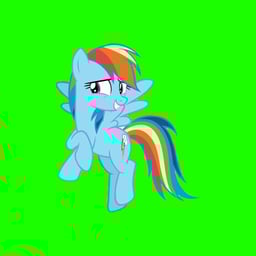 Rainbow dash