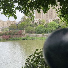 张云峰自己的声音