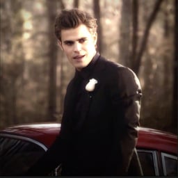 stefan salvatore 