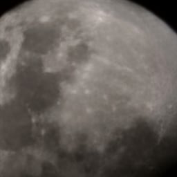 صوت عربي شاعر