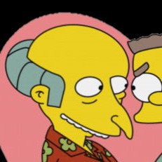 Mr Burns
