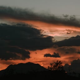 Deutsche Neutrale Stimme