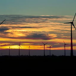 VOZ ANUNCIOS CULINARIA 