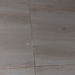 صوت عربي حيوي