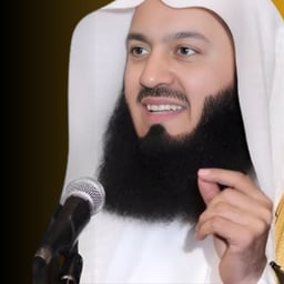 mufti menk