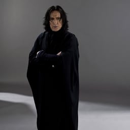 Professor Snape (Alan Rickman)