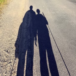 Voz Clara y Profesional