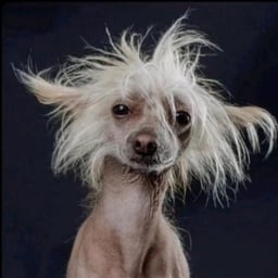 Engagierter deutscher Sprecher