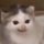 ヒムラー