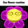 Carnation