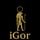 iGor