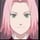 Sakura jr