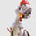 Di_HUEVOCARTOON_UN GALLO CON MUCHOS HUEVOS
