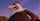 Mighty Eagle (The Angry Birds Movie)