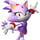 Blaze the Cat