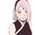 sakura haruno