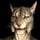 Male Khajiit ( THE ELDER SCROLLS SKYRIIM )