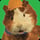 Linny (Wonder Pets!)
