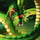 Shenlong / Chenlong / Xenlong DBS