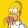 S.R Homer Simpson
