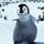 BABY MUMBLE_HAPPY FEET_ESPAÑOL LATINO_VOZ