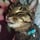 Ryoi