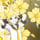 Kagamine Len
