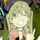 Maka (soul eater) 