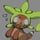 Chespin from starters or pokemon idk