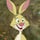 Rabbit (Tom Kenny)