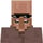 Villager 