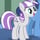Twilight Velvet