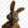Lucky the rabbit
