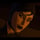 Selina Kyle (Batman Telltale)