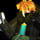 Tubers93 en forsaken 