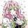 活発なアニメ調