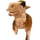 Cameel habib habab