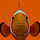 Clowny Fishy