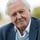 david attenborough