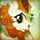 Autumn Blaze