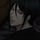 Sebastian Michaelis