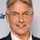 Mark harmon 