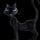 Coraline cat