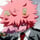 mina ashido