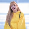 lisa