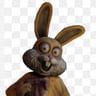 Lucky the rabbit